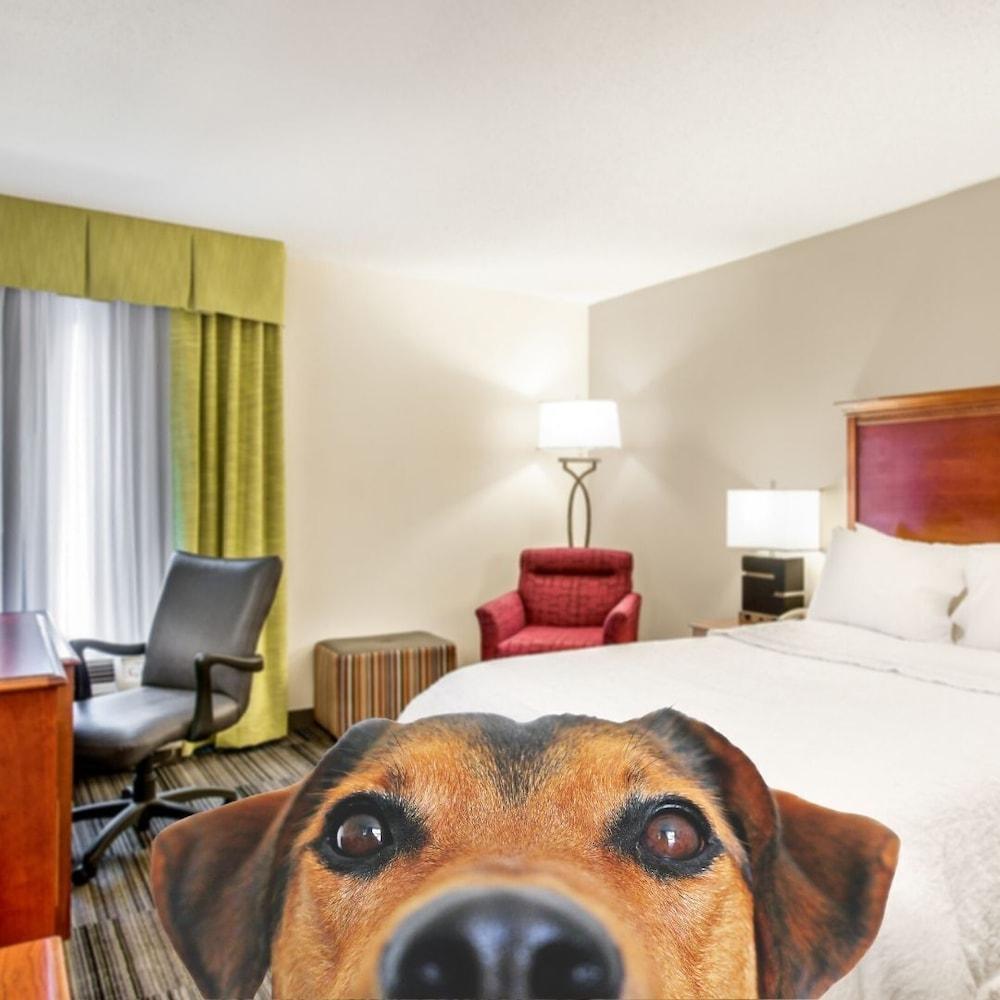 Hampton Inn Bowling Green Ky Exteriör bild